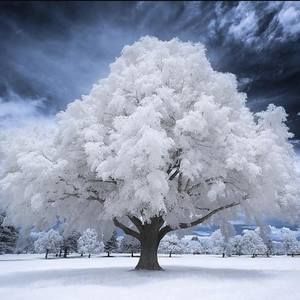 Meet your Posher, Gretchen